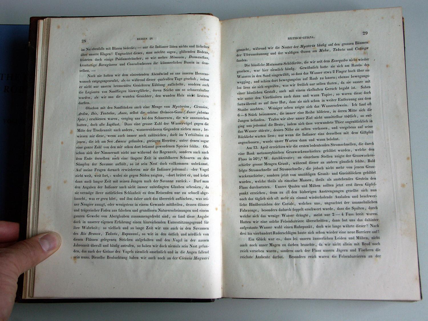 ZZ-RISC48,S.028 Diverse Vögel 13. April